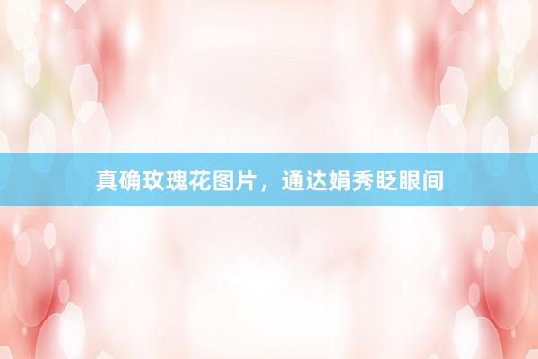 真确玫瑰花图片，通达娟秀眨眼间